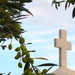 Olivetree with cross copy