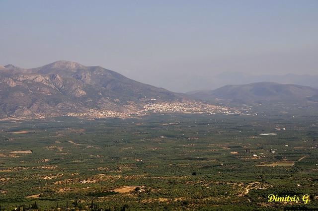 General view of the olive groves and the hillside village overlooking the Cooperative